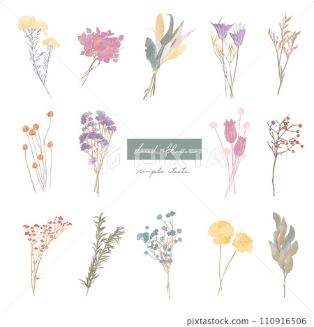 天然乾燥花2 110916506