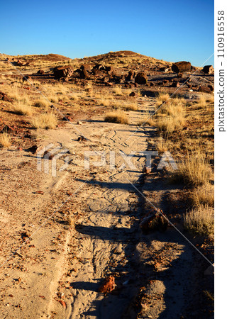 Rugged and Desolate Landscape Petrified Forest Arizona Rugged and Desolate Landscape Petrified Forest Arizona 110916558