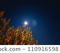Night view 110916598