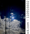 Moonlit night 110916602