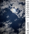 Moonlit night 110916603