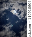 Moonlit night 110916604