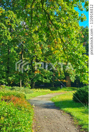 Beautiful hiking trail in the park in spring. Beautiful hiking trail in the park in spring. 110916812