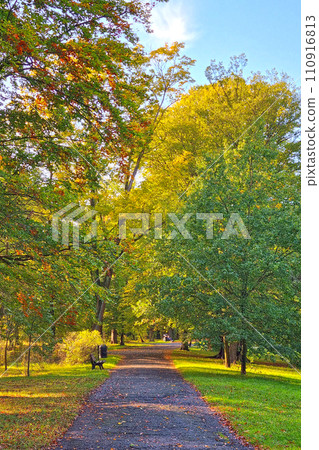 View of autumn park on sunny warm day. 110916813