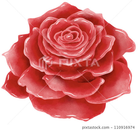 Handdrawn watercolor illustration of rose buds petal for special day like birthday valentine day women's day mother's day greeting cards wedding invitation Handdrawn watercolor illustration of rose buds petal for special day like birthday valentine day women's day mother's day greeting cards wedding invitation 110916974