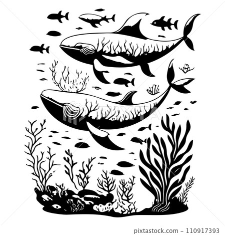 ocean whale underwater coral illustration sketch hand draw  110917393