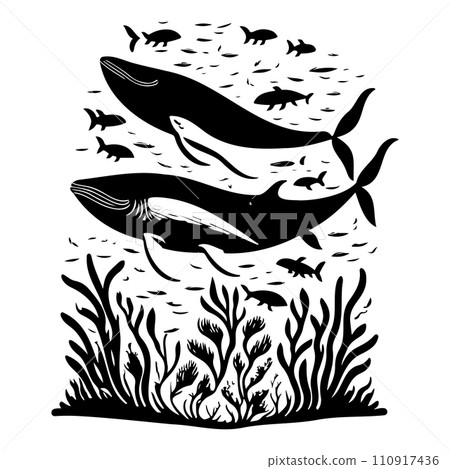 ocean whale underwater coral illustration sketch hand draw ocean whale underwater coral illustration sketch hand draw 110917436