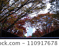 秋天的樹木和摩天大樓 110917678