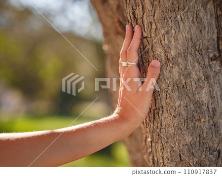 female hand gently touches bark of old olive tree. embracing fresh air and engaging in outdoor activities. Friluftsliv concept means spending as much time outdoors as possible female hand gently touches bark of old olive tree. embracing fresh air and engaging in outdoor activities. Friluftsliv concept means spending as much time outdoors as possible 110917837