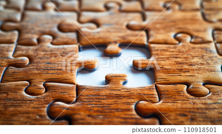 缺少一塊的拼圖遊戲 110918501