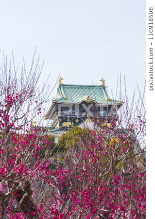 從盛開的大阪城梅林看大阪城天守閣 110918508