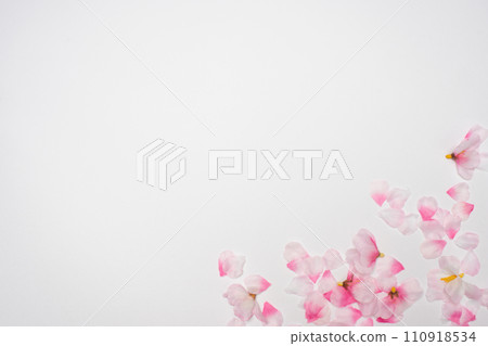 櫻花花瓣植物框架 櫻花花瓣植物框架 110918534