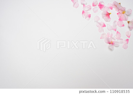 櫻花花瓣植物框架 櫻花花瓣植物框架 110918535