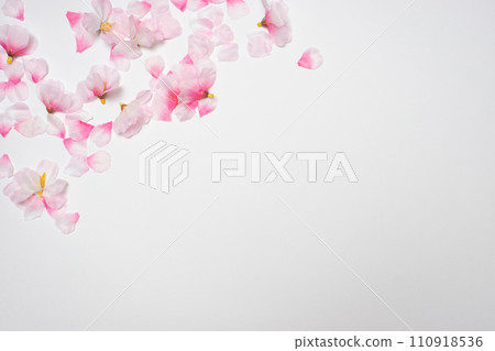 櫻花花瓣植物框架 櫻花花瓣植物框架 110918536