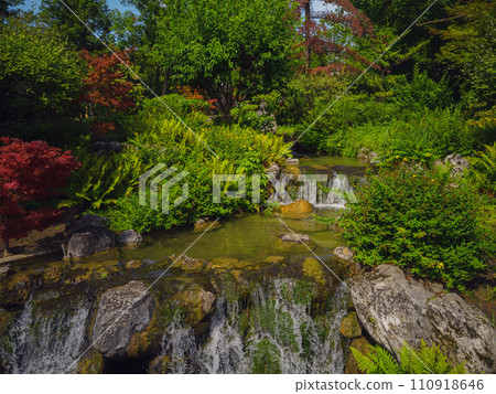 Japanese park in Vienna on a summer day. Zetagaya Park is small, quiet Japanese garden with cherry trees and fish pond, open to public from April to October. 110918646