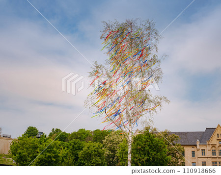 spring trip to Europe. Tall birch tree in center of Erfurt decorated with colored ribbons. May folk spring festival Maypole or Maibaum 110918666
