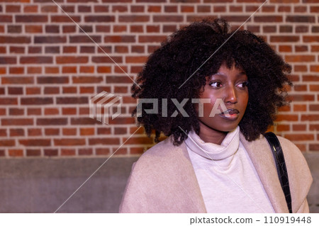 Quiet Reflections: Urban Elegance Against Brickwork 110919448