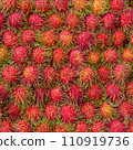 Evenly laid out rambutans. Tropical red fruit background 110919736