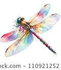 colorful dragonfly 110921252