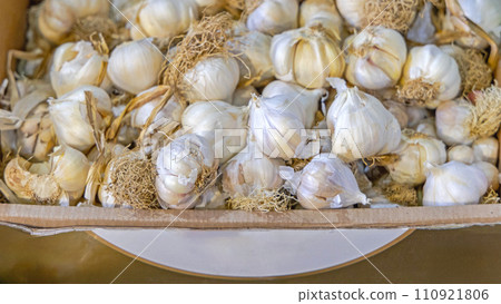 Dried Garlic Box 110921806
