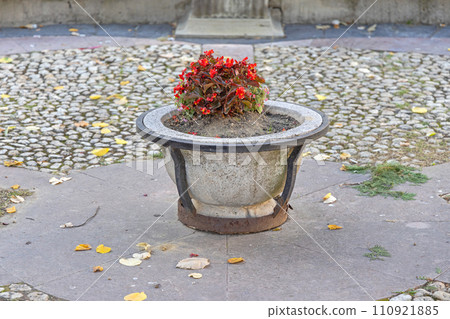 Stone Flower Pot Park 110921885