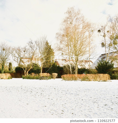snow landscape on a sunny day snow landscape on a sunny day 110922577