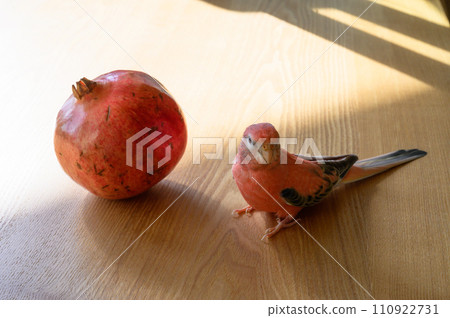 Golden parakeet and pomegranate 110922731