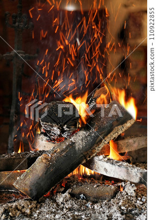Firewood 110922855