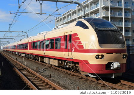 E653 series 1000 series K70 formation limited express Kaiun Naritasan Hatsumode Gunma issue E653 series 1000 series K70 formation limited express Kaiun Naritasan Hatsumode Gunma issue 110923019