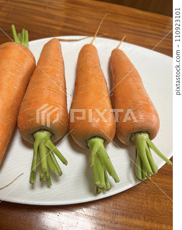 Photography of fresh carrots placed on a plate after harvesting Photography of fresh carrots placed on a plate after harvesting 110923101