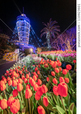 江之島海燭燈飾與盛開的冬季鬱金香 110923601