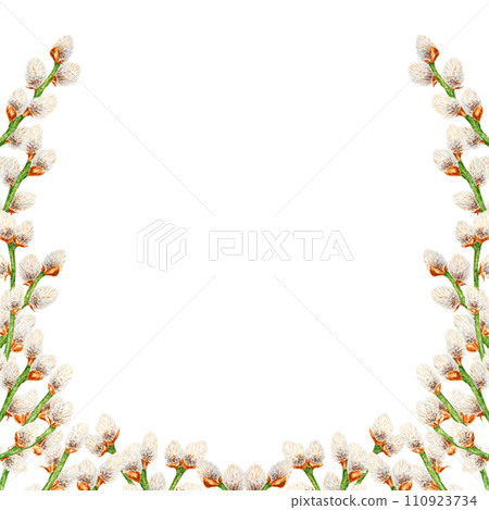 Hand drawn watercolor wreath, frame of pussy willow. Botanical clip art, symbol of religious holidays, Easter, Lunar New Year. Green branches with soft salix buds, flowers. Spring painting for prints 110923734
