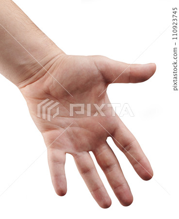 Open hand palm Open hand palm 110923745