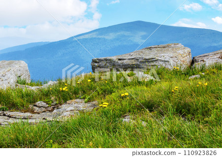 mountainous alpine landscape in summer. grass and dandelions among the boulders and rock formations on the hill. carpathian nature scenery of ukraine on a sunny forenoon 110923826