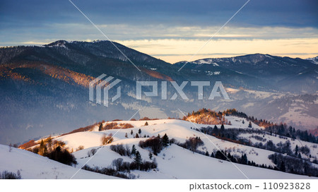 carpathian countryside with snow covered hills in morning light. beauty of ukrainian rural landscape in wintertime 110923828