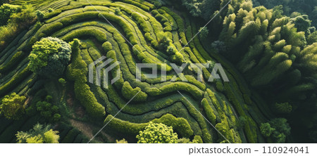 AI-generated content. Lush Aerial View of Serpentine Tea Garden 110924041