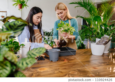 Plants business, start up: two women in aprons care for plants in the store using a watering can, garden tools, fresh soil on wooden table. 110924426