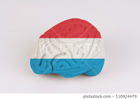 On a white background, a model of the brain with a picture of a flag - Luxembourg 110924479
