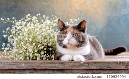 dog with bowtie and baby's breath flower bouquet on vintage table, 16:9 widescreen wallpaper 110924994
