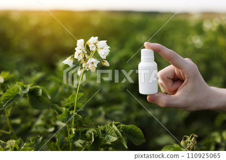 Garden season problems and solution. Cropped photo hand of farmer holds white bottle with mock up for poison, pesticide liquid from plant diseases and pests on natural potatoes blooming background 110925065