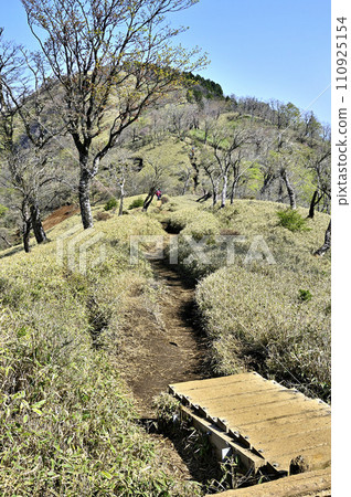 新鮮綠色的丹澤山脈，丹澤主要山路，從日高到龍河馬場 110925154
