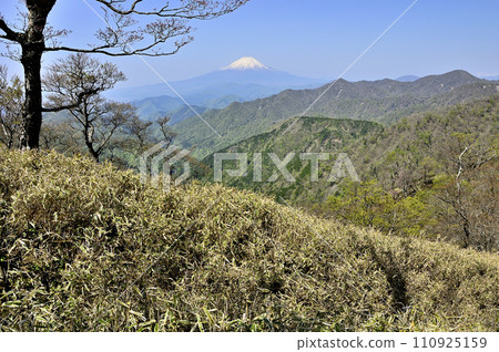 Tanzawa in spring, Tanzawa Main Line, Mt. Fuji and Hinokidomaru seen from Ryugababa 110925159