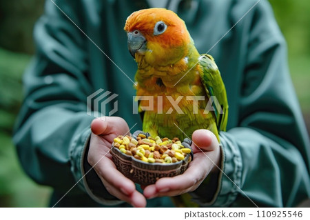 Parrot: how to properly care for and feed 110925546