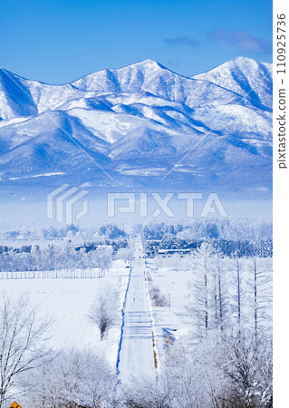 Winter road and Hidaka mountains 110925736