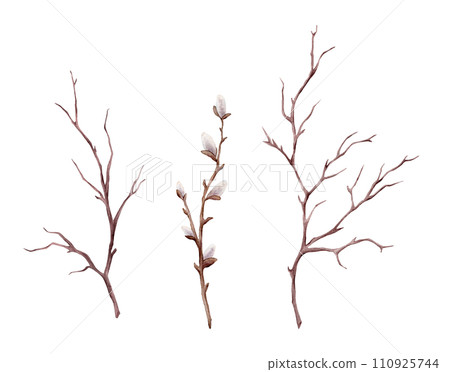 Watercolor illustration willow branches and tree branch without leaves. Brown dry straight twig. Isolated on a white background. Spring floral easter elements. For holiday print design 110925744