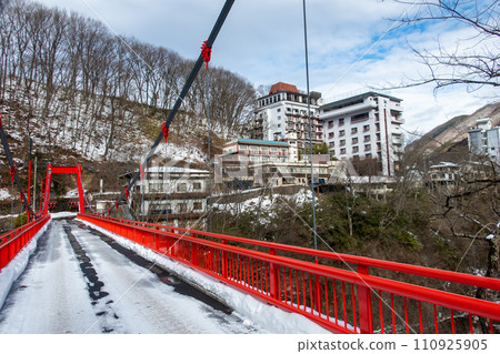 冬天的大上溫泉 110925905