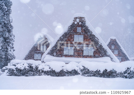 [World Heritage Site] Heavy snowfall in Shirakawa-go/Sanrensho [Gifu Prefecture] 110925967