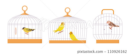Domestic birds in iron cages. Cartoon bird cages, cute budgies and finches, exotic birds in cages flat vector illustration set. Decorative birds sitting in cages Domestic birds in iron cages. Cartoon bird cages, cute budgies and finches, exotic birds in cages flat vector illustration set. Decorative birds sitting in cages 110926162