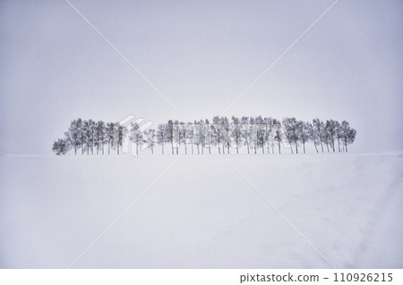 Mild Seven Hills 110926215