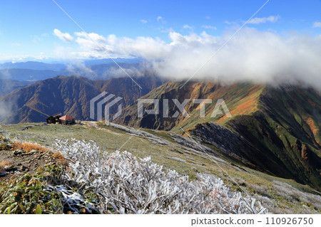 [Fixed price] Mt. Tanigawa Autumn leaves and snow seen from just below the summit 110926750